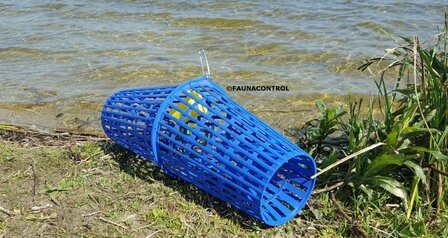 rivierkreeftenkorf blauw