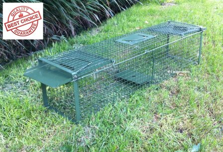 Kattenvangkooi groen